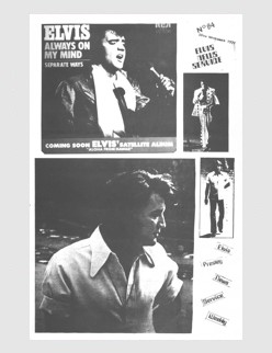 Elvis News Service Weekly Issue No. 84
