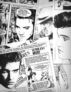 Elvis The Story