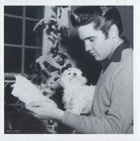 Christmas Peace