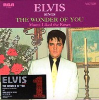 The Wonder Of You