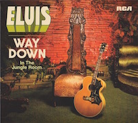 Way Down In The Jungle Room