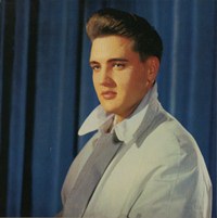 Elvis' Gold Records Volume 2