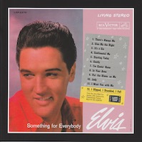 The Something For Everybody Sessions (featuring the Wild In The Country Sessions)