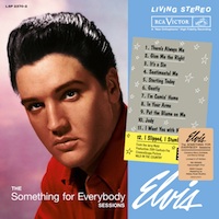 The Something For Everybody Sessions (Vinyl)
