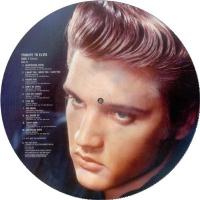 Tribute To Elvis
