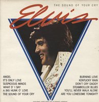 The Sound Of Your Cry