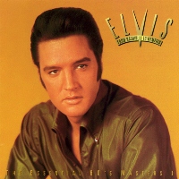 From Nashville To Memphis - The Essential 60's 
                  Masters 1