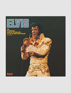 Elvis (Fool)