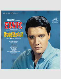 Roustabout